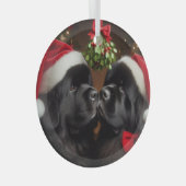 ミスタントーキス下の新作 ガラスオーナメント (正面右)