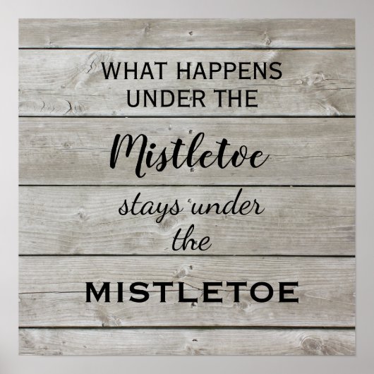 ミスタントーホリデイ ポスター (正面)