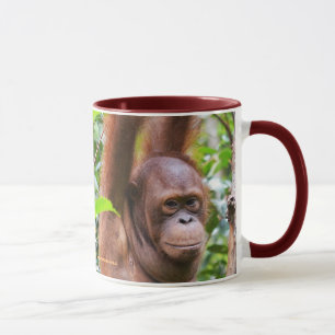 ミスターバーニーオランウータン マグカップ