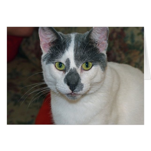 ミスターパンツ (正面横)