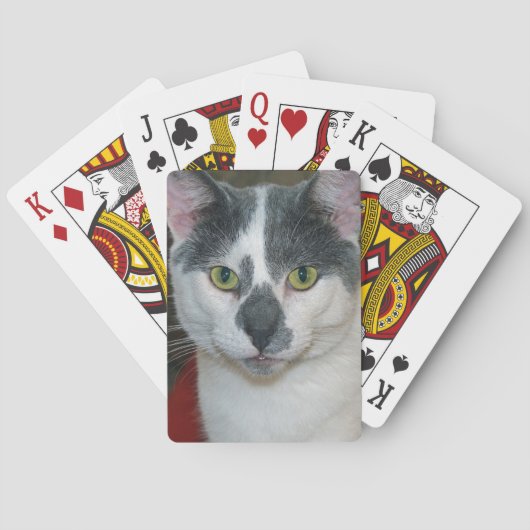 ミスターパンツ トランプ (裏面)