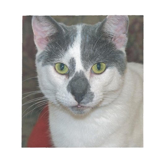 ミスターパンツ ノートパッド (正面)