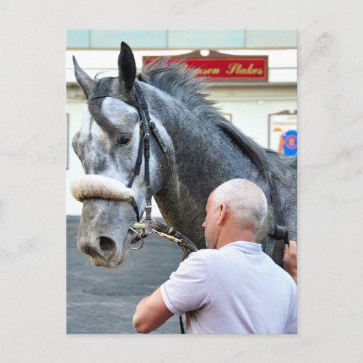 ミスターモノロ ポストカード (正面)