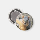 ミスター・かわいこちゃん マグネット (正面/裏面)