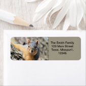 ミスター・かわいこちゃん ラベル (インサイチュ)