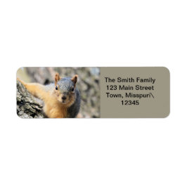 ミスター・かわいこちゃん ラベル