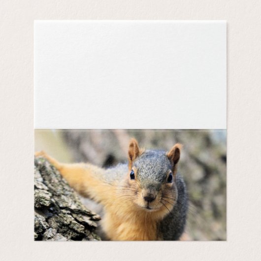 ミスター・かわいこちゃん 名刺 (外部フラット)