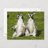 ミスター・アンド・ミセス・レムール ポストカード (正面/裏面)