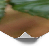 ミスター・カタツムリ ポスター (角)