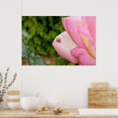 ミスター・カタツムリ ポスター (キッチン)