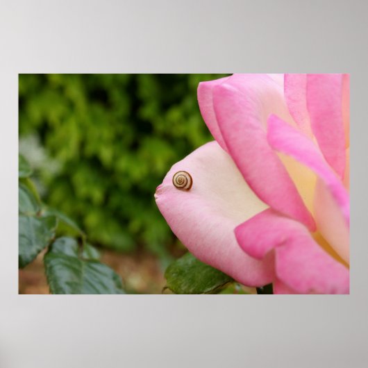 ミスター・カタツムリ ポスター (正面)