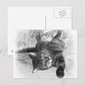 ミスター・キャット ポストカード (正面/裏面)