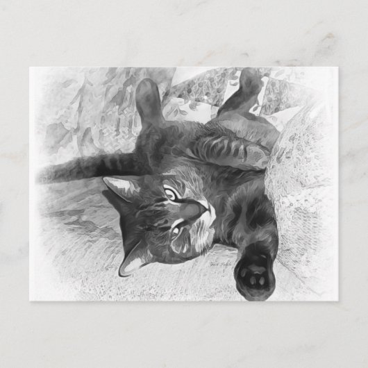 ミスター・キャット ポストカード (正面)