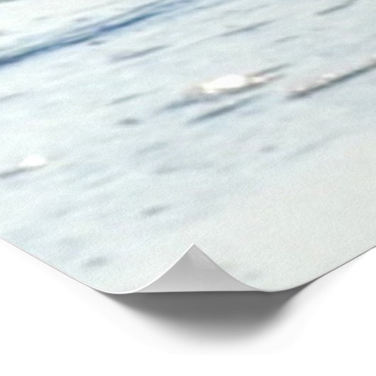 ミスター・シーガル ポスター (角)