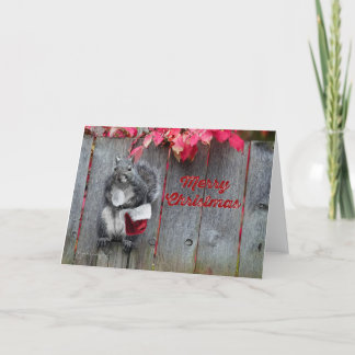 ミスター・スクワレルの5x7クリスマスカード サンキューカード