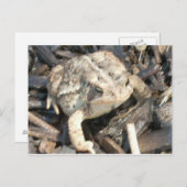 ミスター・トッド ポストカード (正面/裏面)