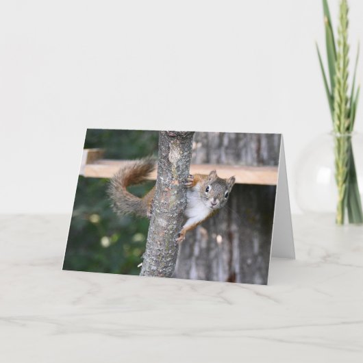 ミスター・ビックルズのグリーティングカード カード (正面)