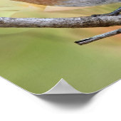 ミスター・ビューティフル・ブルーバード ポスター (角)