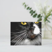 「ミスター・ブーティー」 ポストカード (スタンド正面)