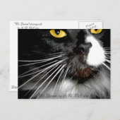 「ミスター・ブーティー」 ポストカード (正面/裏面)