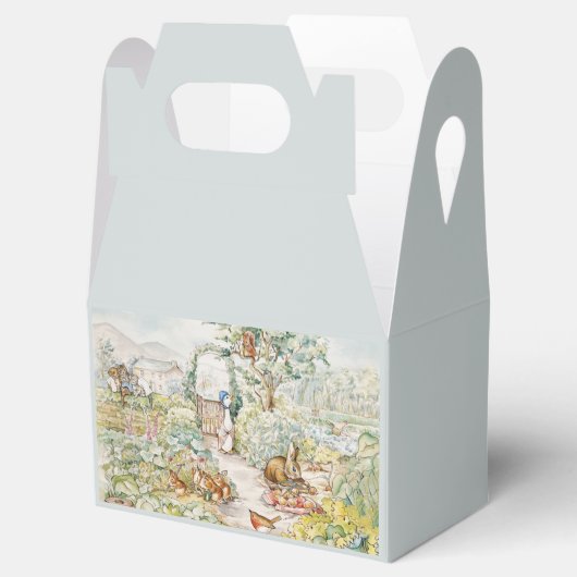 ミスター・マクレガーの庭のジェミマ・パドル・ダック フェイバーボックス (オープン)