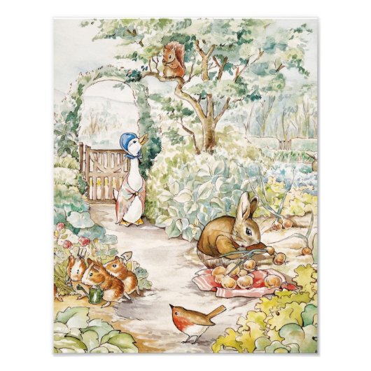 ミスター・マクレガーの庭のジェミマ・パドル・ダック フォトプリント            (正面)