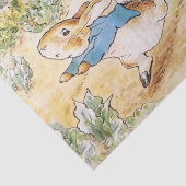 ミスター・マクレガーの庭のピーター・ウサギ 薄葉紙 (詳細)
