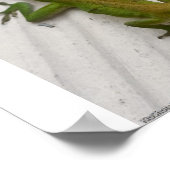 ミスター・リザード ポスター (角)