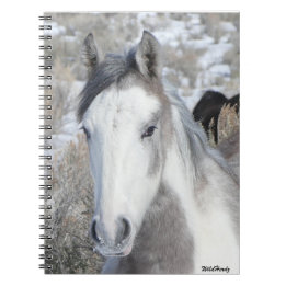 ミスター・子猫・ノート ノートブック