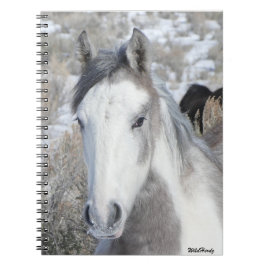 ミスター・子猫・ノート ノートブック