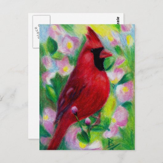 ミスター(鳥)ショウジョウコウカンチョウはがき ポストカード (正面/裏面)