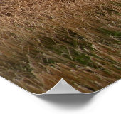 ミスティアイリッシュメドウプリント ポスター (角)