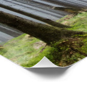 ミスティオータムフォレストくつろぎ ポスター (コーナー)