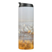 ミスティサンドヒルクレーン タンブラー (回転右)