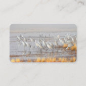 ミスティサンドヒルクレーン 名刺 (裏面)