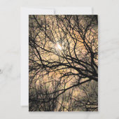 ミスティックムーンハロウィーン招待状 招待状 (正面)