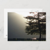 ミスティフィアツリーアットシャスタダムポストカード ポストカード (正面/裏面)