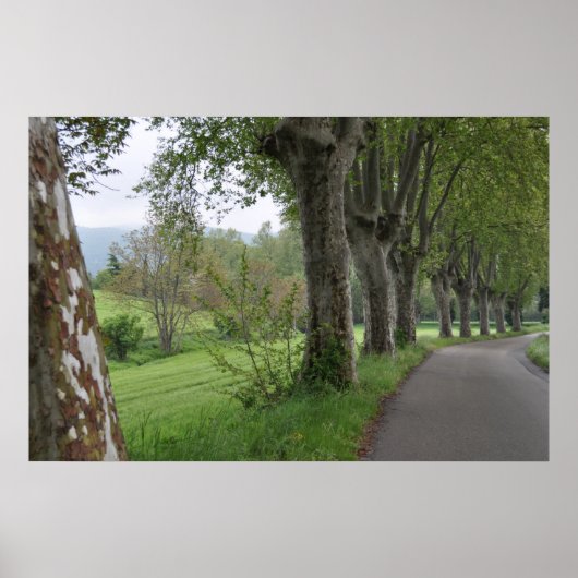 ミスティーモーニングインプロヴァンスプリント ポスター (正面)