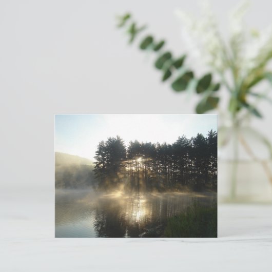 ミスティーモーニングサンライズアレゲーニー州パーク ポストカード (スタンド正面)