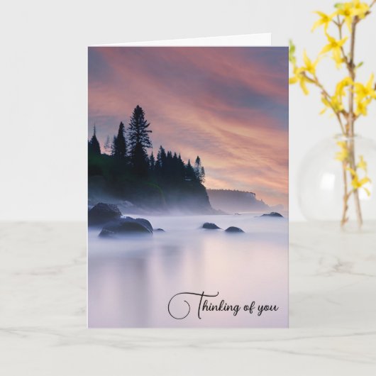 ミスティ海朝 カード (黄色い花)