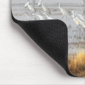 ミスティ砂丘クレーン、ボスクデルApacheポストカード マウスパッド (コーナー)