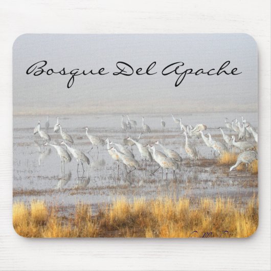 ミスティ砂丘クレーン、ボスクデルApacheポストカード マウスパッド (正面)