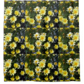 ミスティ語（アグリランセム） シャワーカーテン (正面)