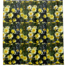 ミスティ語（アグリランセム）