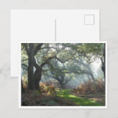 ミスティ・ウッドランド葉書 ポストカード (正面/裏面)