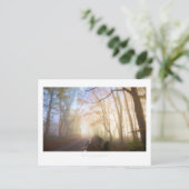 ミスティ・コッツウォルズ ポストカード (スタンド正面)