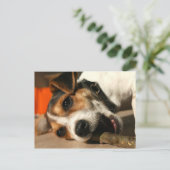 ミスティ – チューインスティック葉書 ポストカード (スタンド正面)