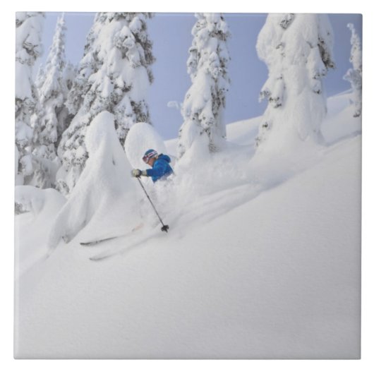 ミスティ·フォルチン·スキス·パウダー タイル (正面)