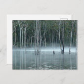 ミスティGumtreesはがき シーズンポストカード (正面/裏面)