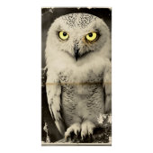 ミステリアスなフクロウ新聞プリント-ヴィンテージ民俗学 ポスター (正面)